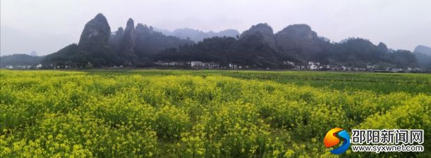 微信图片_20190317111855