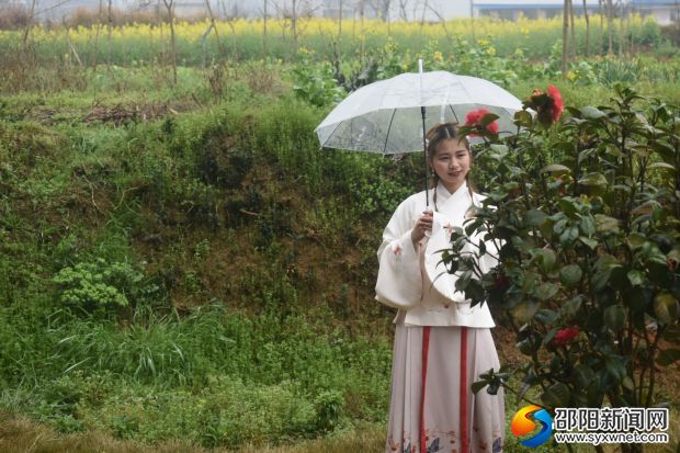 踏青赏花
