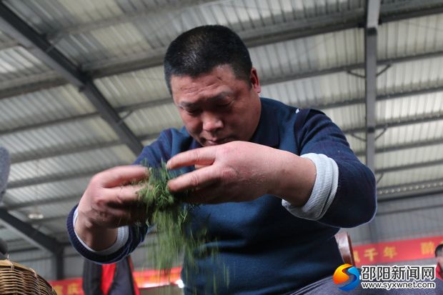 现场炒茶