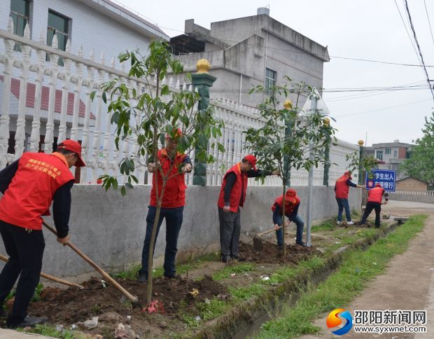 植树现场_看图王
