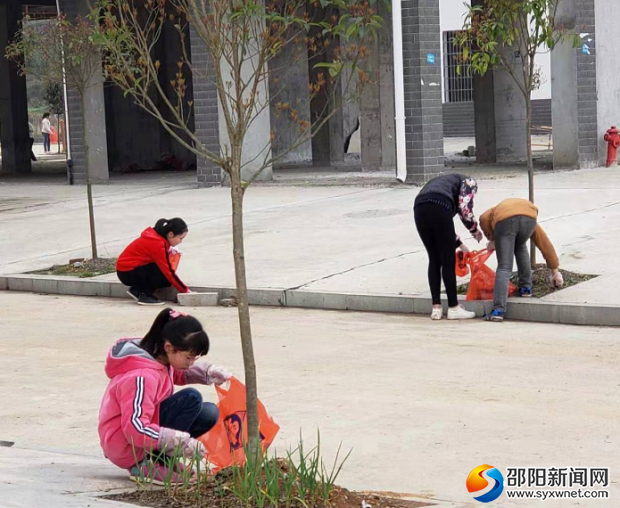 捡拾花圃垃圾