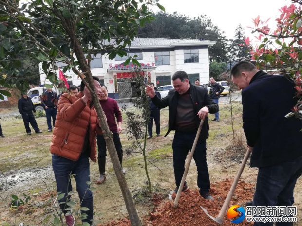 新宁公路局&ldquo;联村建绿&rdquo;义务植树