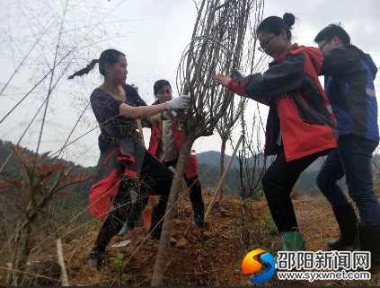 QQ图片20190331084204