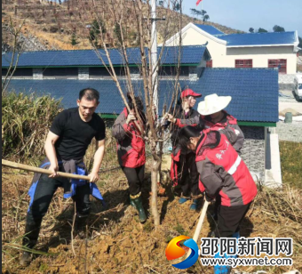 QQ图片20190331084429