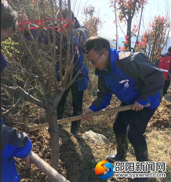 QQ图片20190331084220