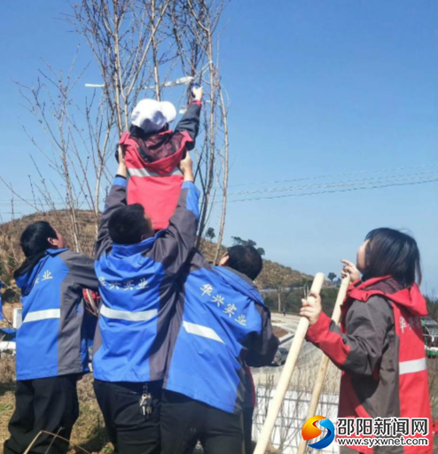 QQ图片20190331084358
