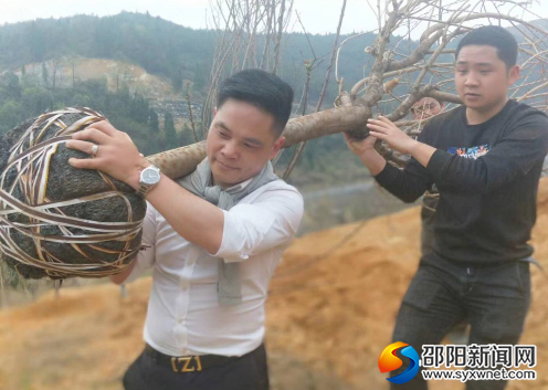QQ图片20190331084325