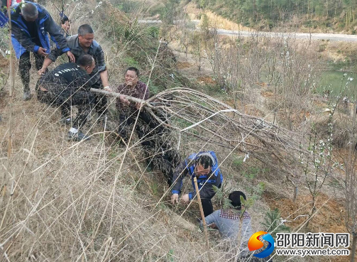 QQ图片20190331084239