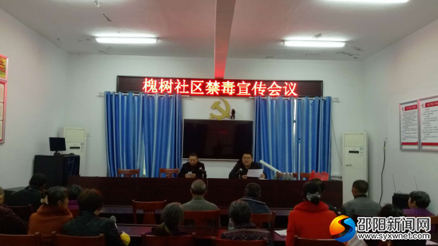 槐树2