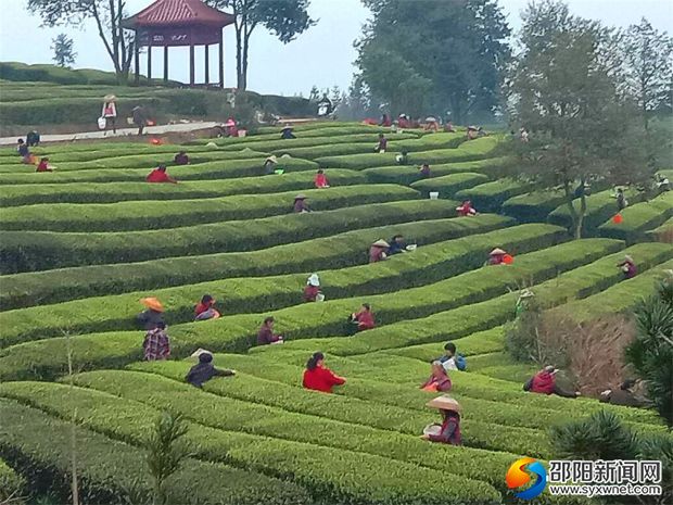 微信图片_20190401182953_看图王
