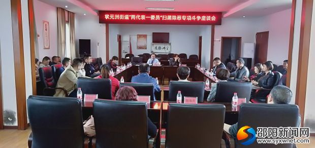 两代表一委员扫黑除恶专项都斗争座谈会