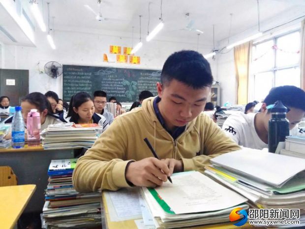 勤奋学习的张晨曦