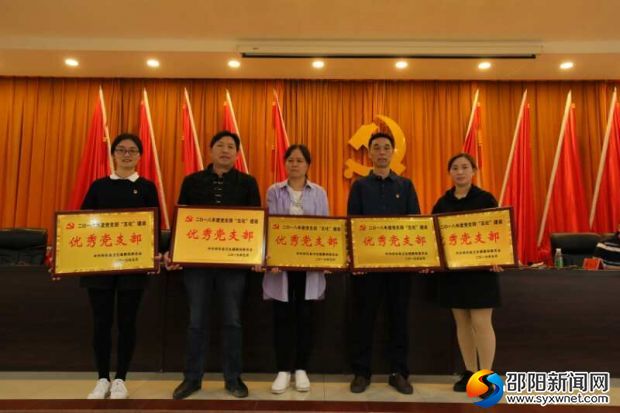图为党支部&ldquo;五化&rdquo;建设达标单位授牌
