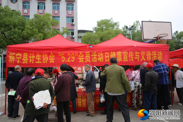 图片4