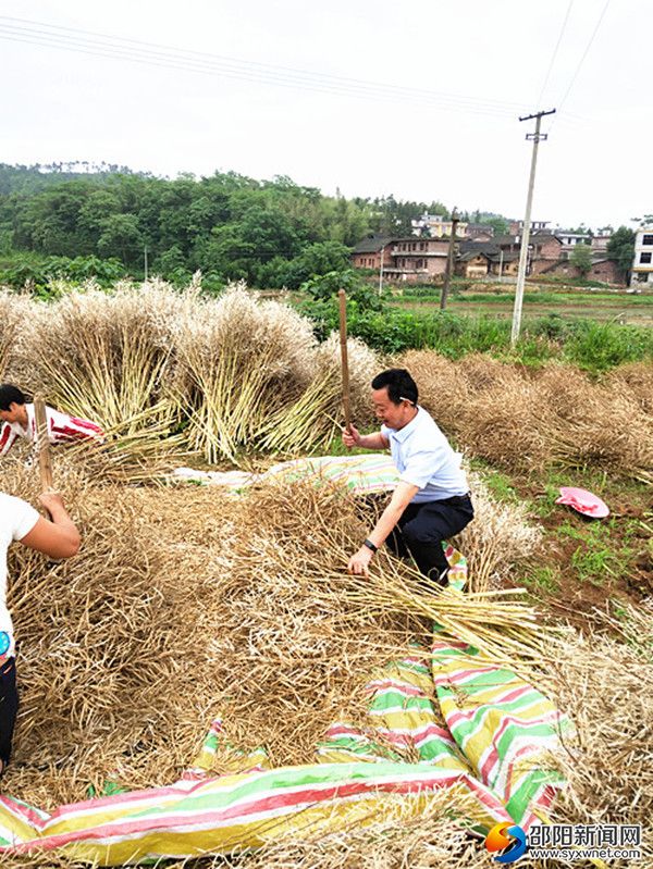 吴清政(右)在用棒帮贫困户打油菜