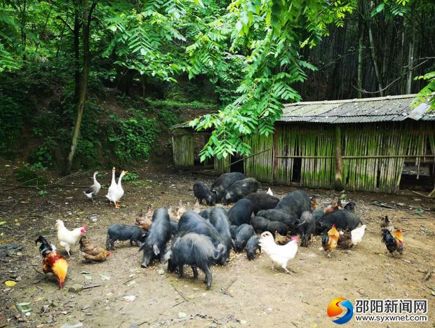 微信图片_20190528220827
