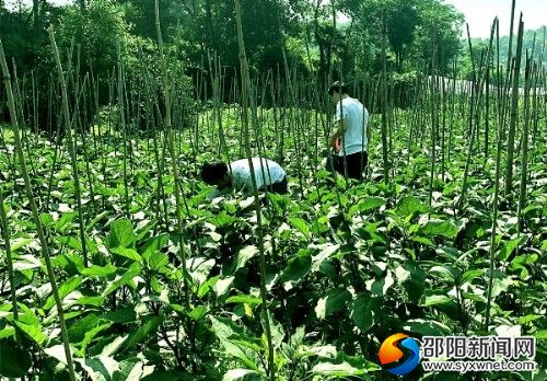 图片_副本