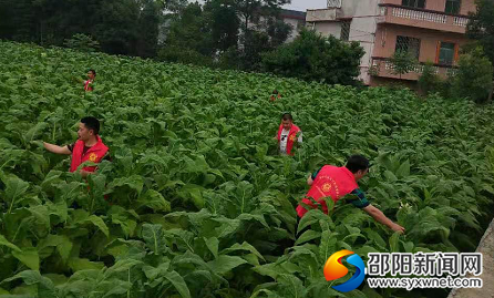QQ图片20190612093723