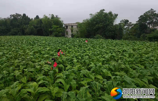 QQ图片20190612093714