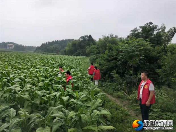 微信图片_20190612095858