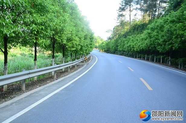 乡村公路绿化