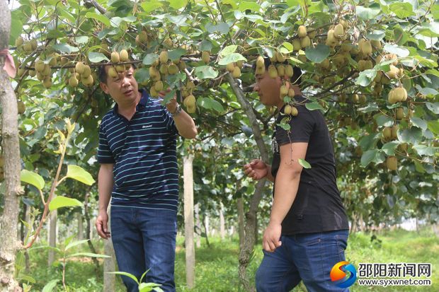 李玉阳和技术人员商讨种植技术