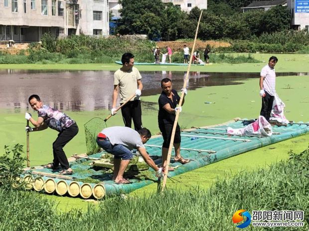 图为该村党员在清理“臭水塘”上漂浮垃圾