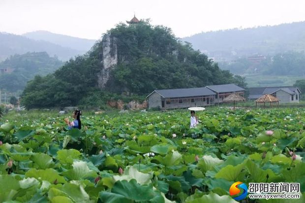微信图片_20190704093323