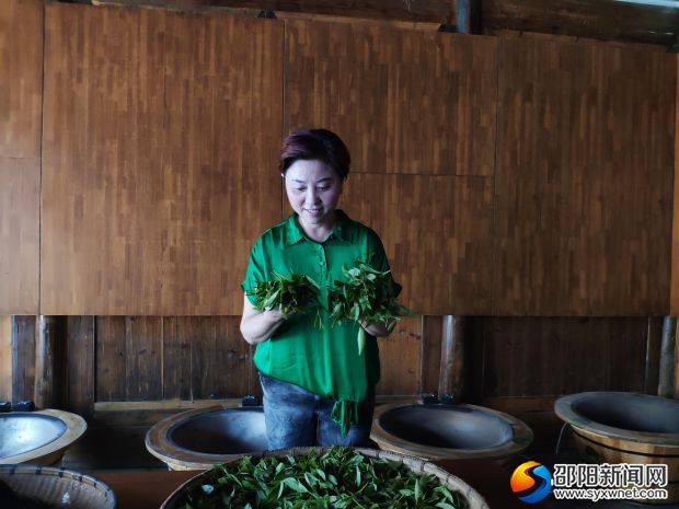 肖东红正在查看茶叶品质
