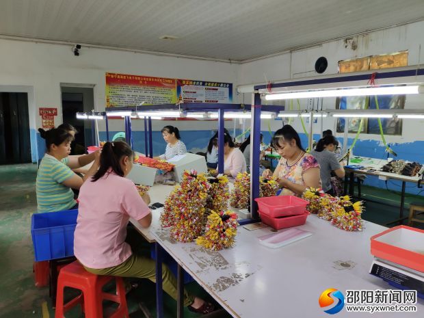 新宁县海亚飞电子有限公司