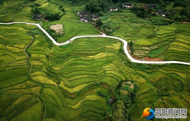 微信图片_20190905082105