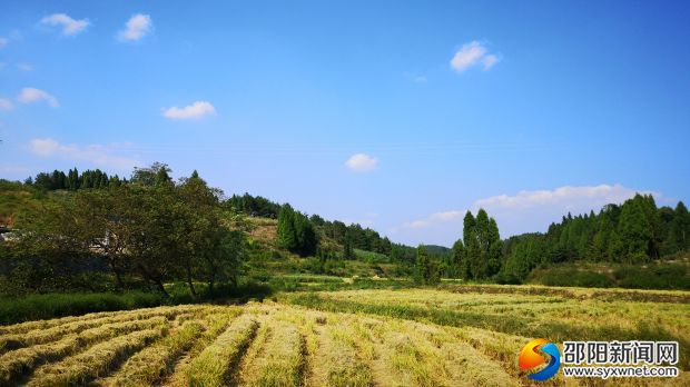4醪田镇