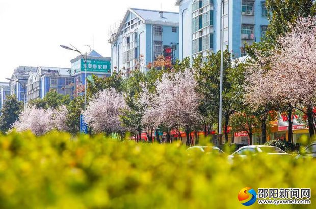 微信图片_20190927154146
