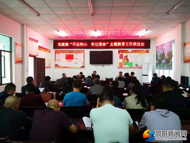 龙溪镇主题教育推进会