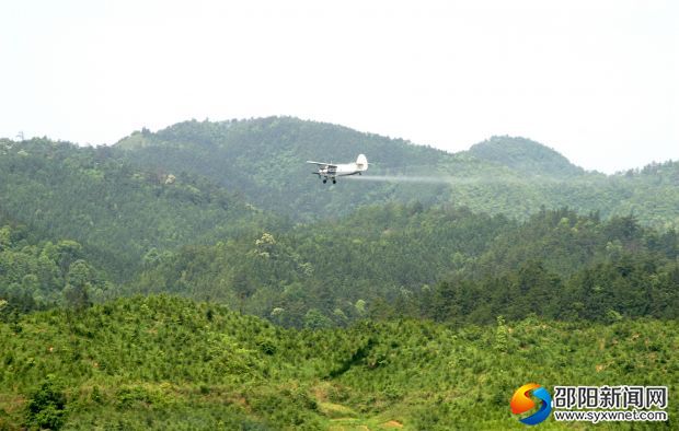 绥宁县开展林业有害生物飞防