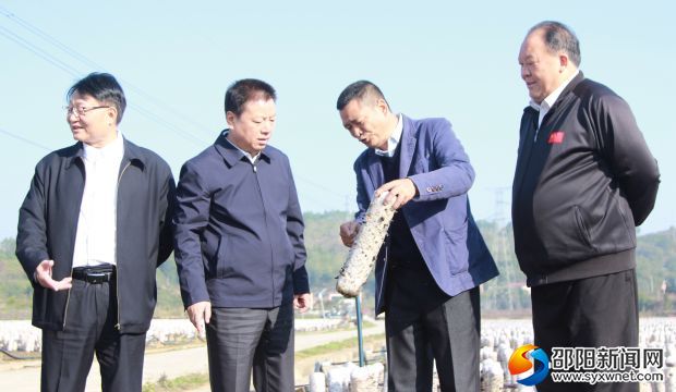 王昌义一行了解食用菌生长特性。