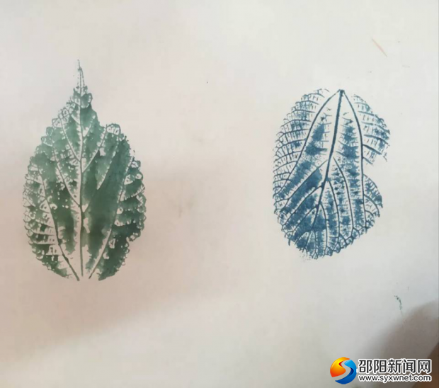图片4