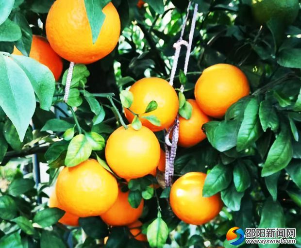 微信图片_20191205154747