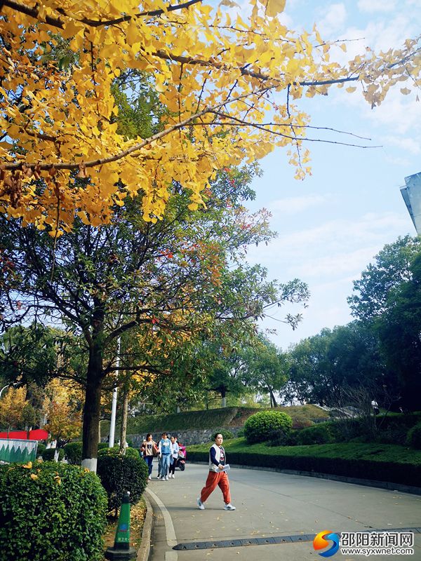 微信图片_20191208143202_副本