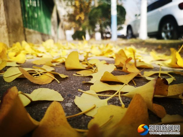 微信图片_20191208140522_副本