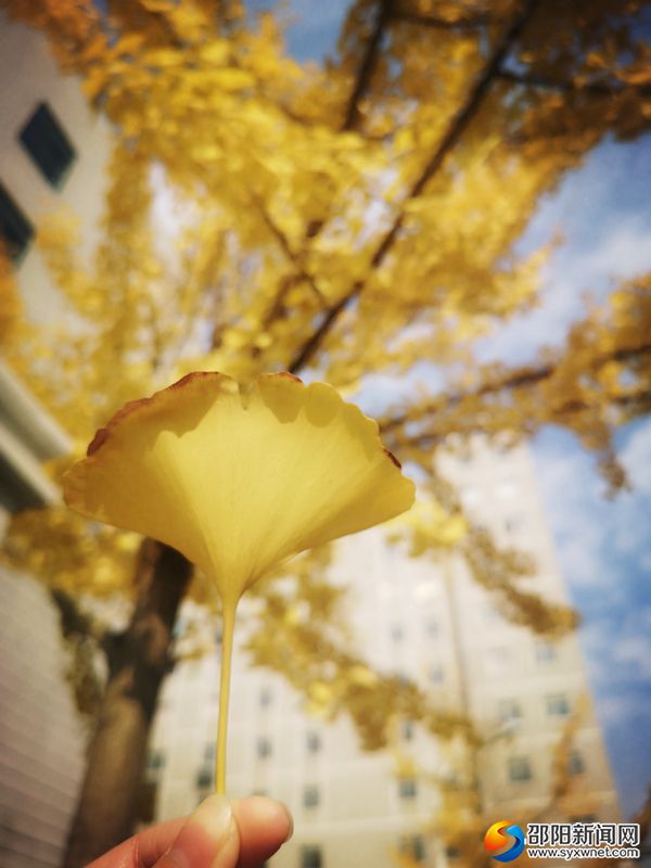 微信图片_20191208141948_副本