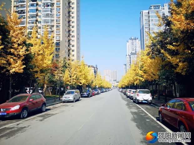 微信图片_20191208143644_副本