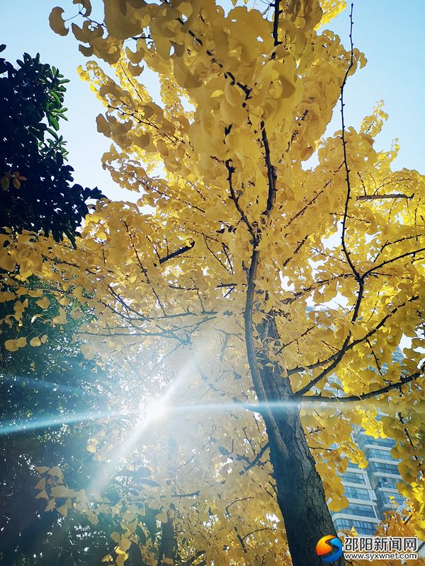 微信图片_20191208143651_副本