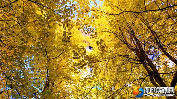 微信图片_20191208141010