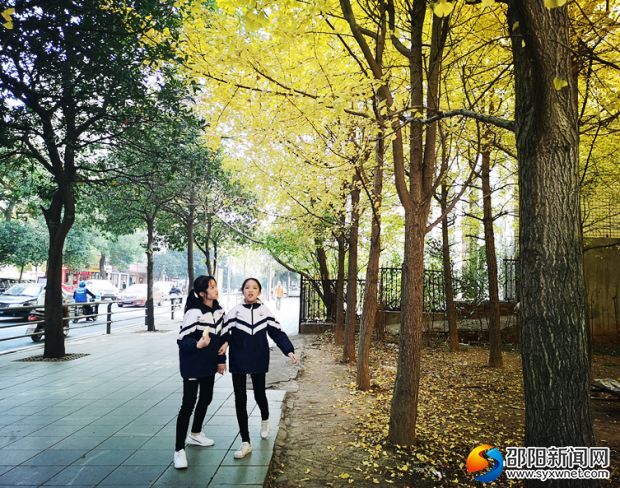 微信图片_20191208140842_副本