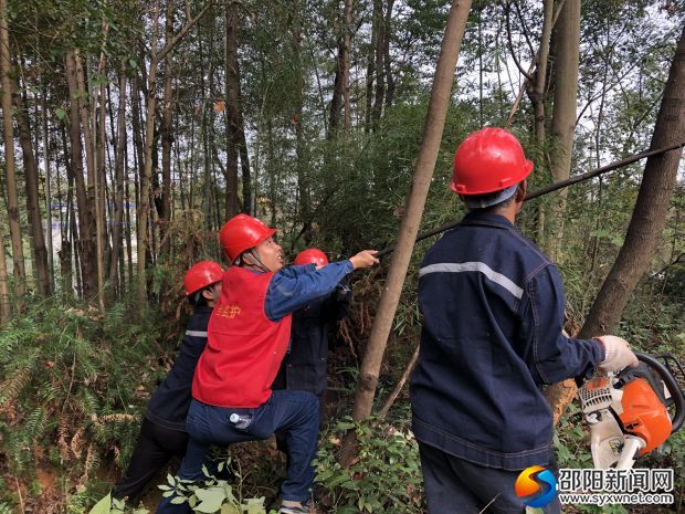 工作人员在清理输电线路通道的树木,预防树枝碰线引发山火