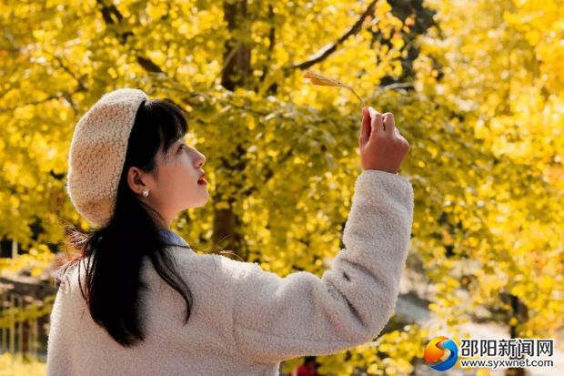微信图片_20191211215045
