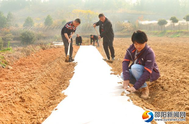 专家们亲自示范如何更规范地使用地膜。 