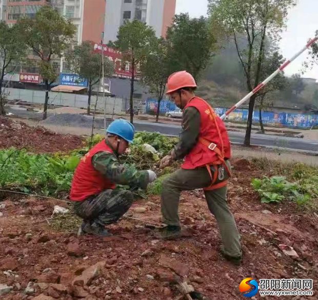 61279063850004616_看图王
