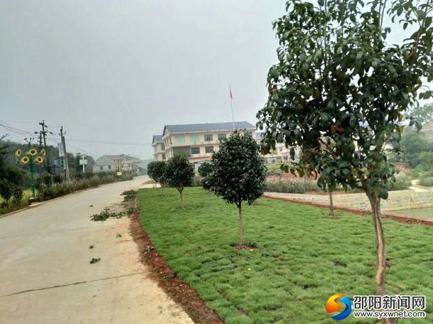 美丽的青山村